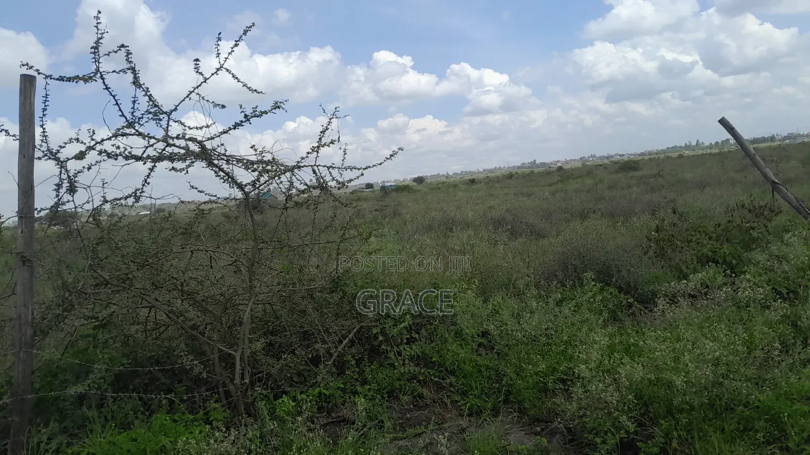 Amani Gardens Off Namanga Highway