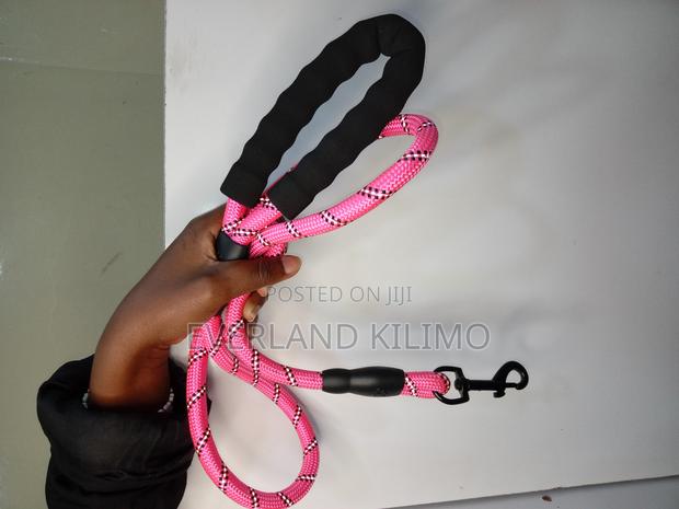 Reflective Leash - Various Colors Available