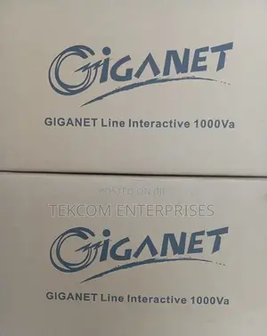 Giganet 1000va/1kva Pro Line Interactive Ups