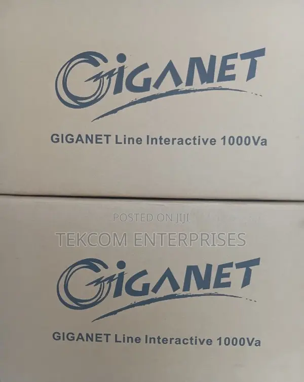 Giganet 1000va/1kva Pro Line Interactive Ups