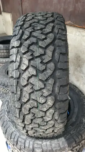 245/70r17 Comforser