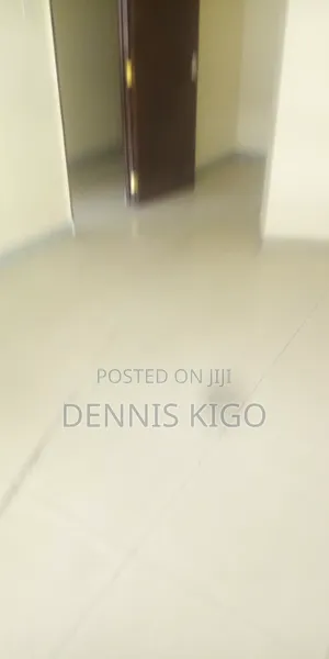 Mr Dennis Kigo