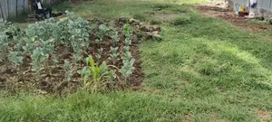 Ruiru Prisons-Prime Plot