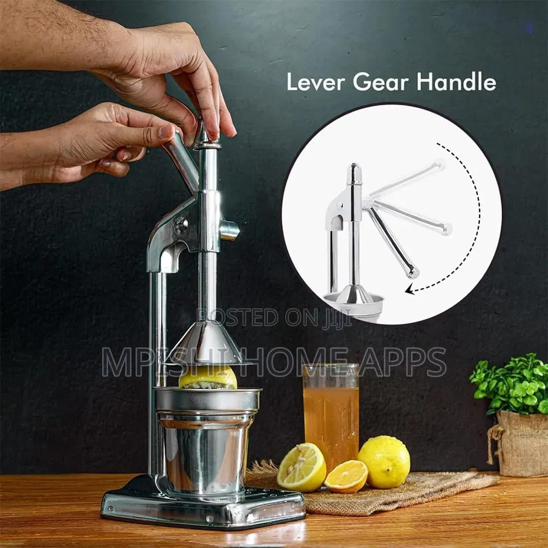Manual Citrus Juicer