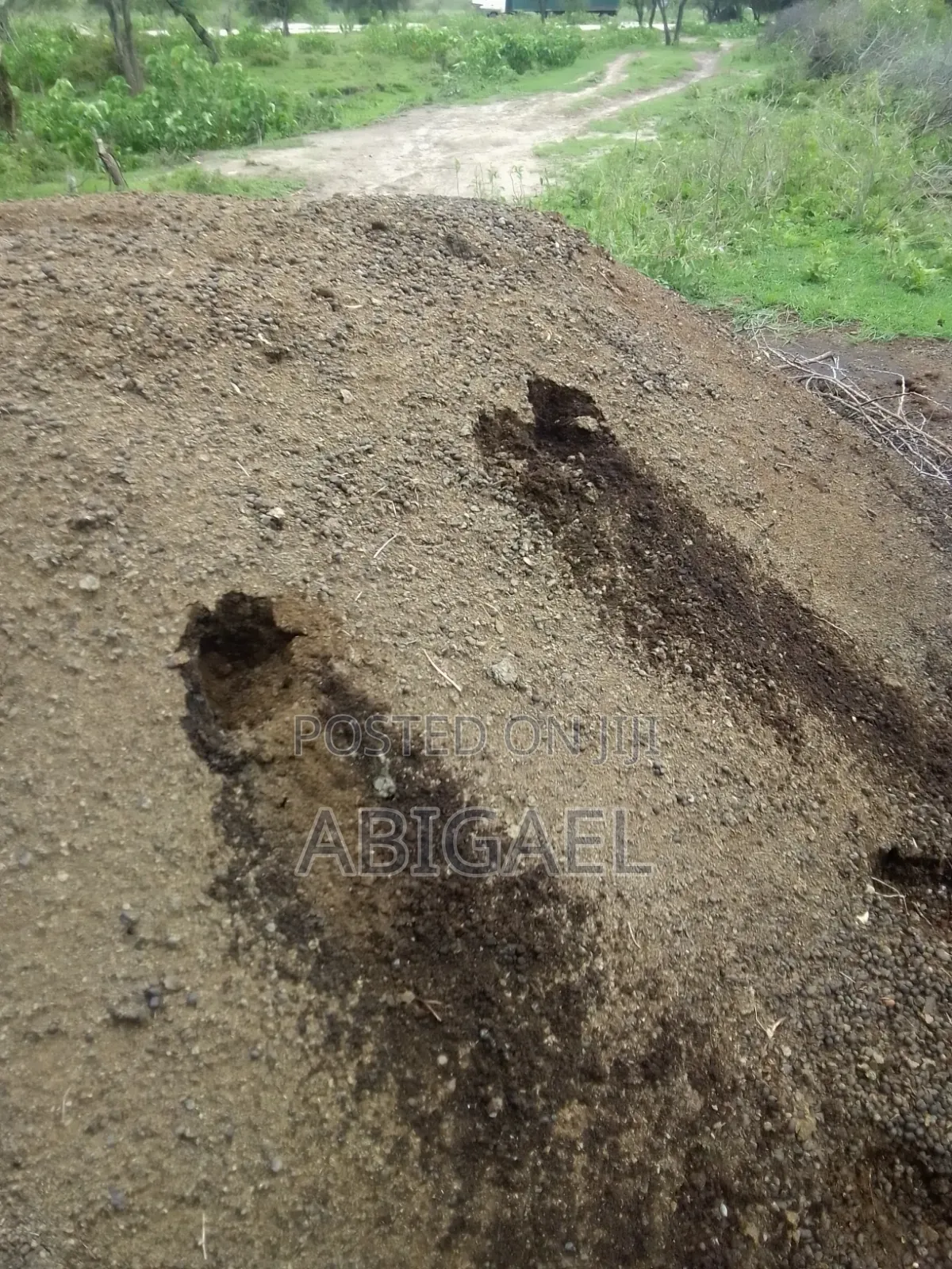 Manure/Fertilizer