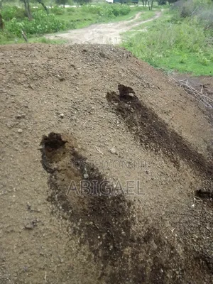 Manure/Fertilizer
