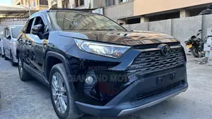 Toyota RAV4 XLE Premium AWD 2019 Matt Black