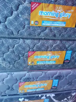 Morning Glory Mattress 12 Inch Relaxing Sleep Foam 4x6