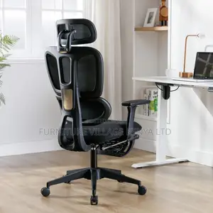 Executive Ergonomic Computer Workstation Chair
