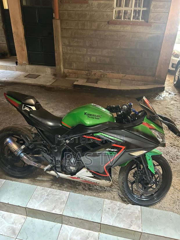 Kawasaki Ninja 300 2013 Green