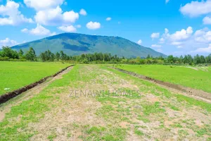 50 By 100 Residential Plots In Kilimambogo