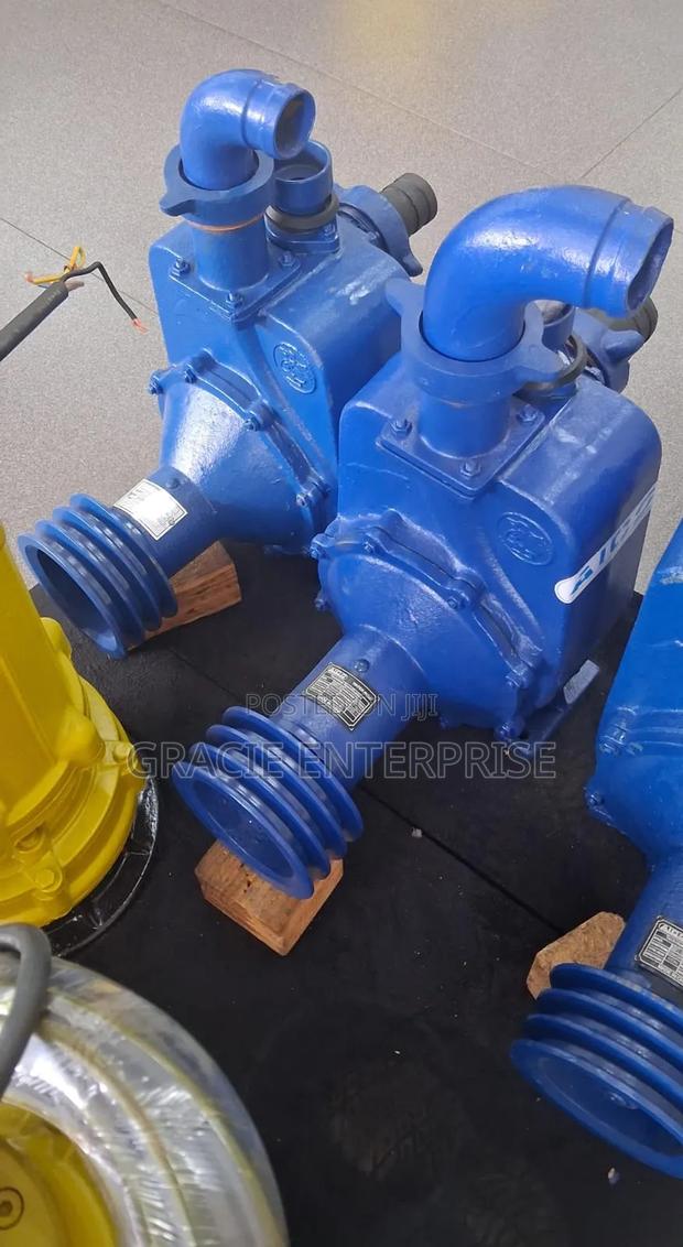 Bare Shaft Water Pumps