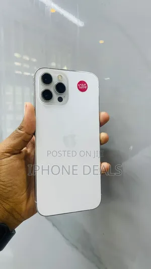 Apple iPhone 12 Pro Max 256 GB White