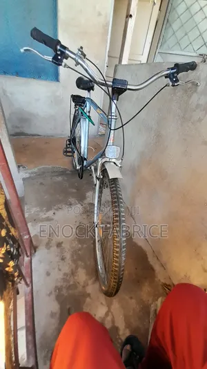 Adult Bicycle