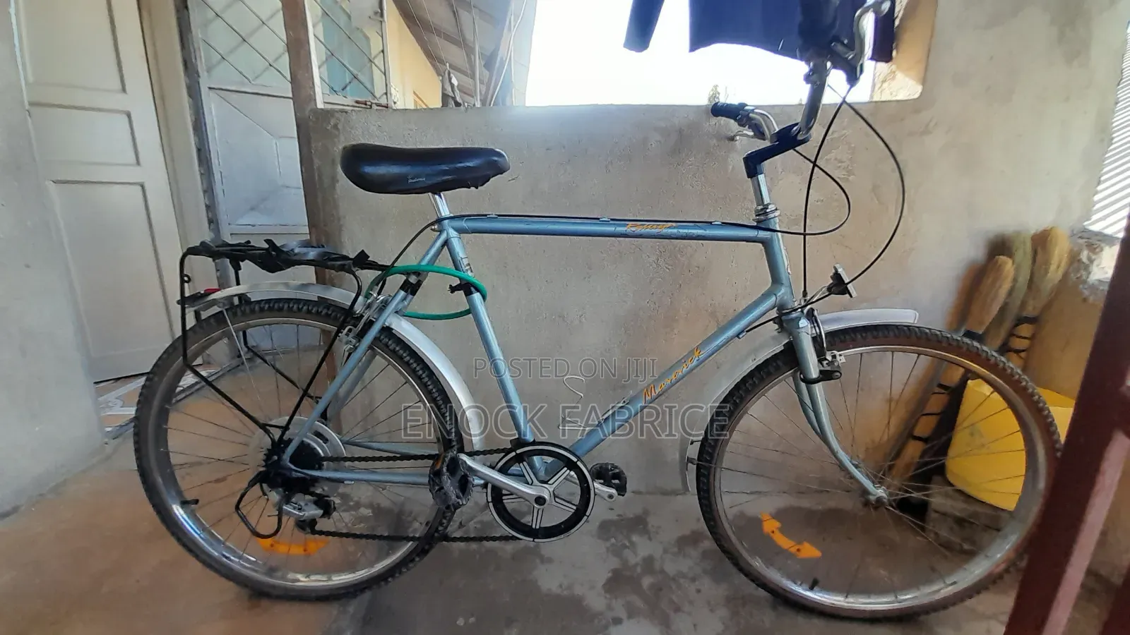 Adult Bicycle