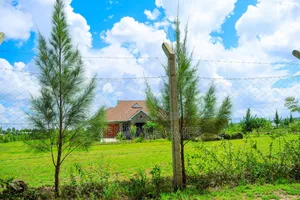 50 By 100 Residential Plots In Kilimambogo
