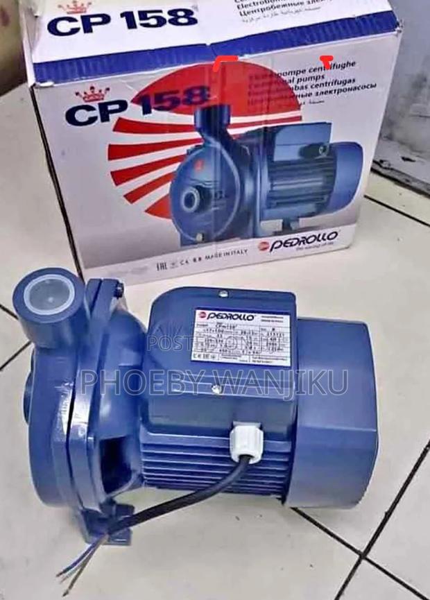 New Cp 158 Pedrollo Water Pump/1hp Pedrollo Booster Pump