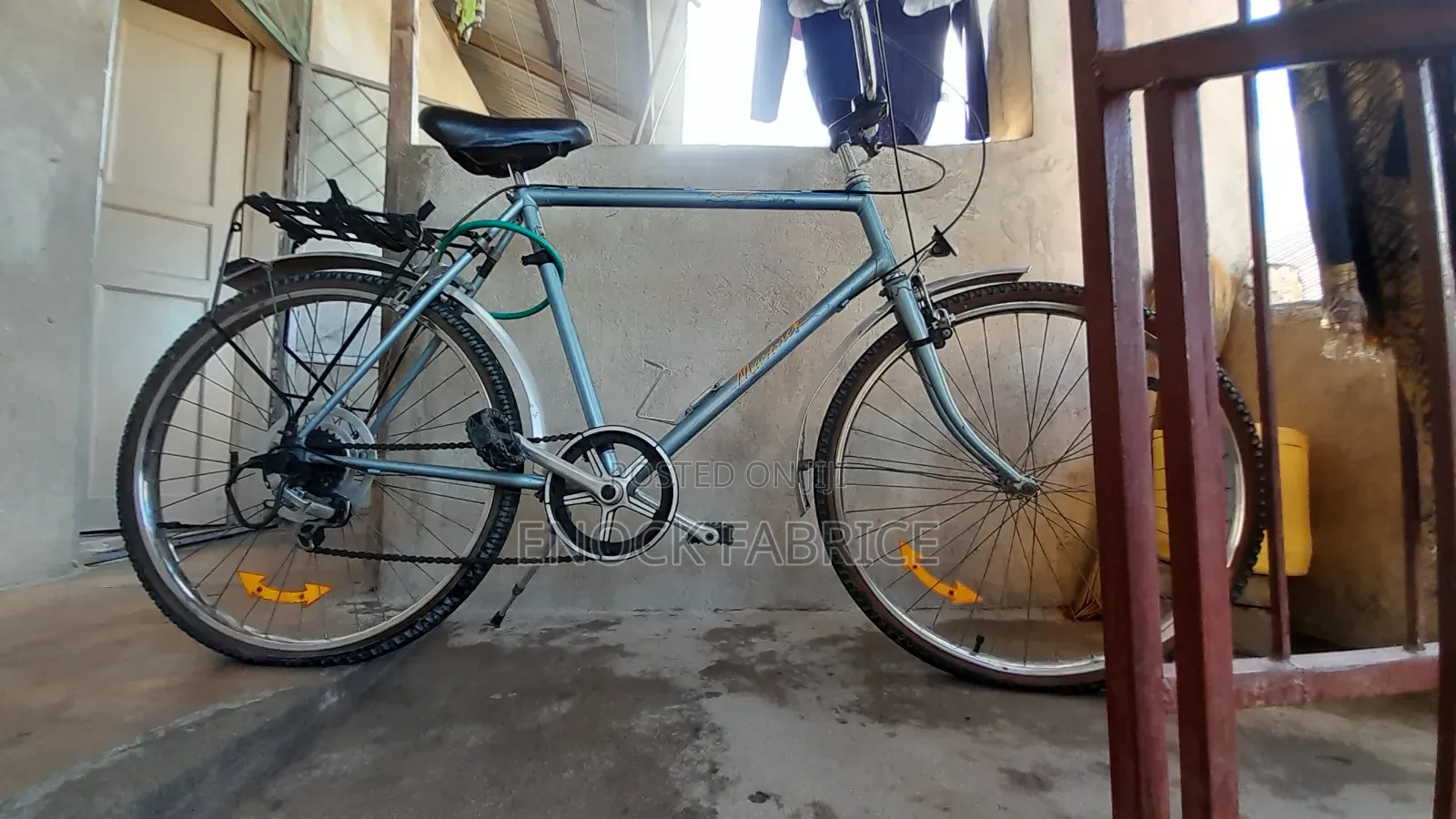 Adult Bicycle