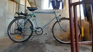 Adult Bicycle