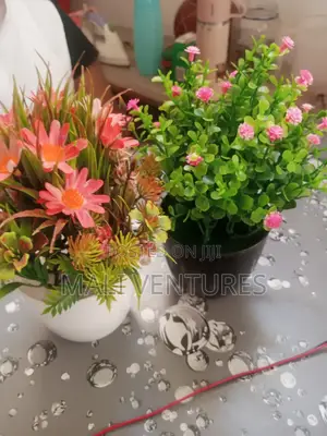 Plant House Decorations