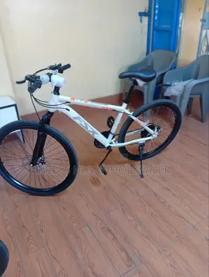 Mountain Bike With 21-Speed Gears, Mechanical Disc Brakes,