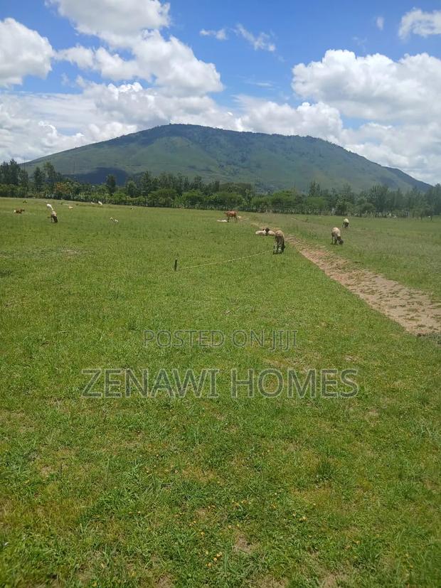 Plots in Malaa - thumbnail 2