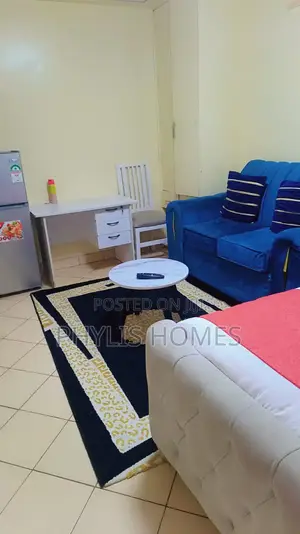 Airbnb Studio Units in South B