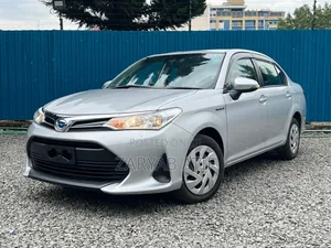 Toyota Axio 2019 Silver
