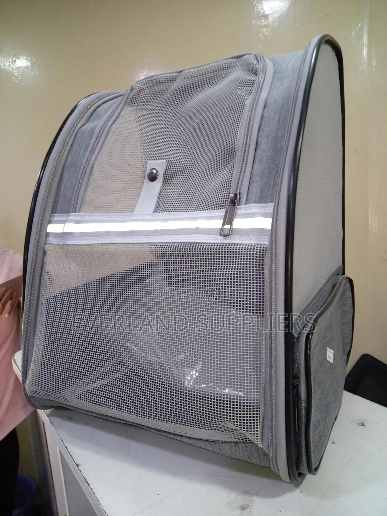 Bag-Like Pet Carrier