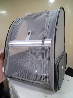 Bag-Like Pet Carrier
