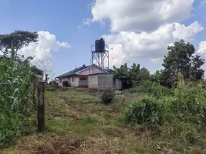 50x100 Plot for Sale in Mwimuto Kabete Kiambu County.