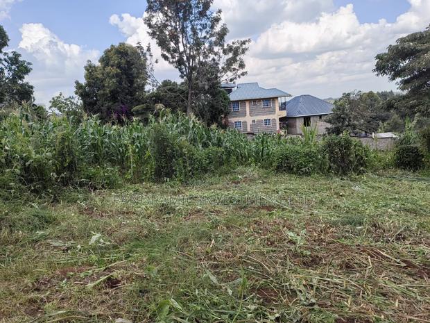 50x100 Plot for Sale in Mwimuto Kabete Kiambu County. - thumbnail 3