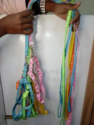 Leash and Harness - Each