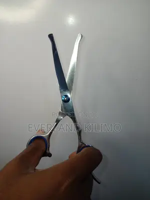 Pets Dressing Scissors - Round Safety Tips