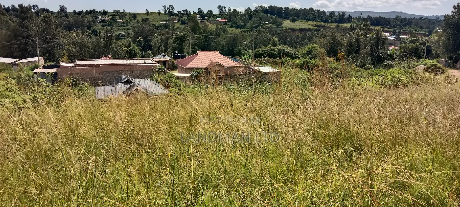 Thika Maguguni Prime 1/2 Acre
