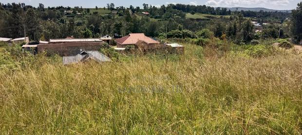 Thika Maguguni Prime 1/2 Acre - thumbnail 3