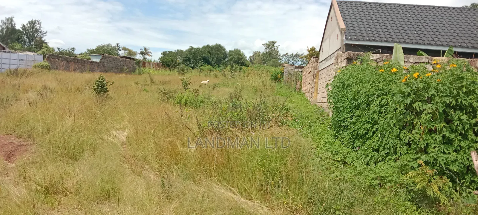 Thika Maguguni Prime 1/2 Acre