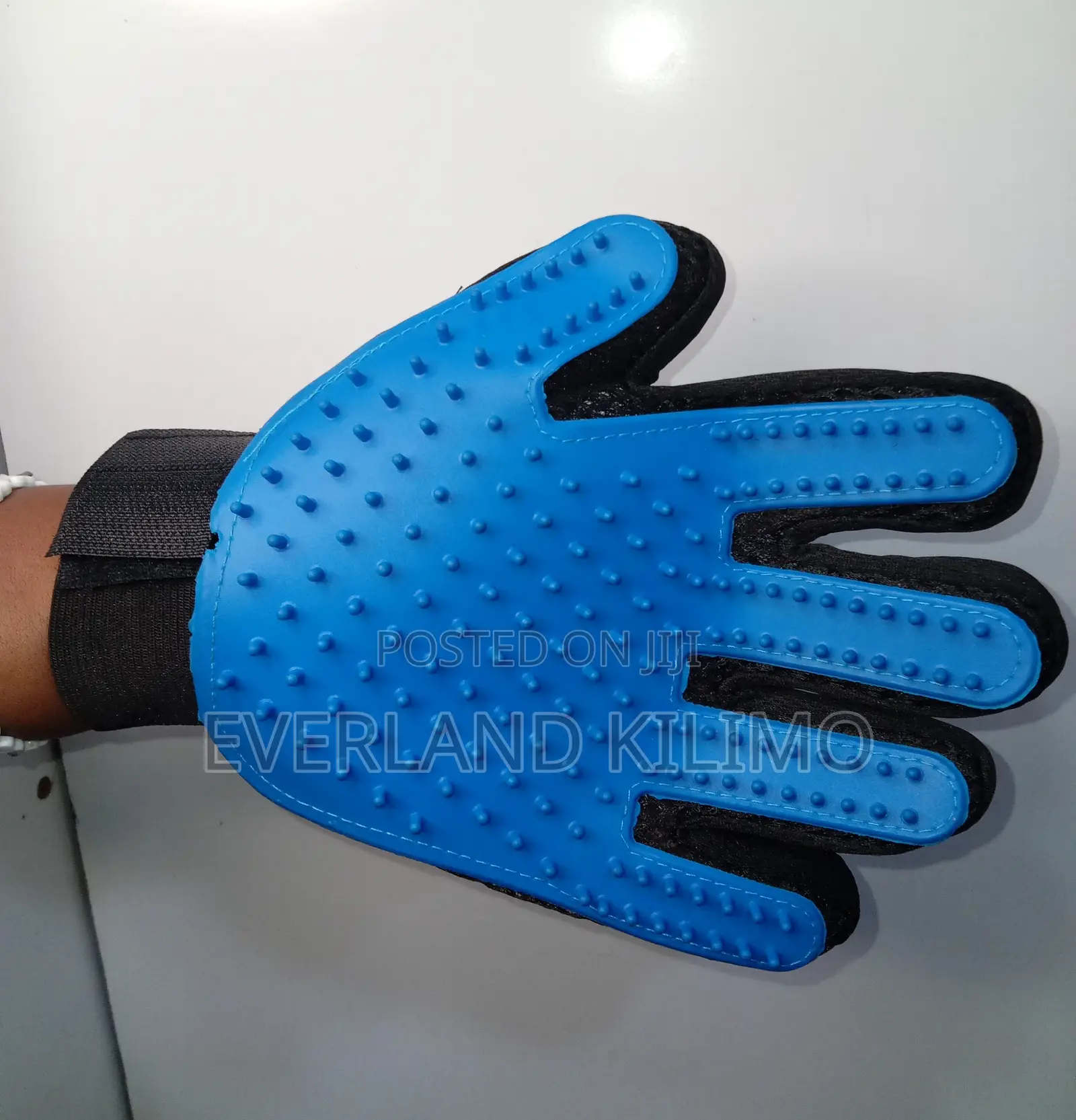 Pet Grooming Gove - Blue and Black
