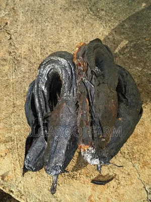 Smoked Catfish