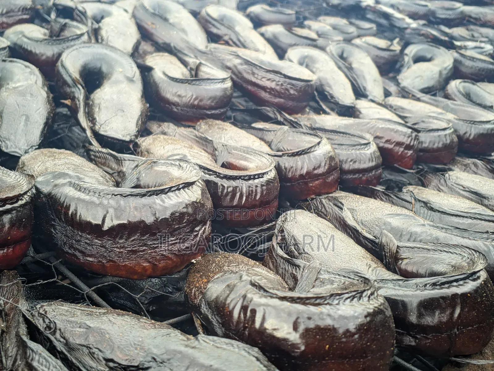 Smoked Catfish