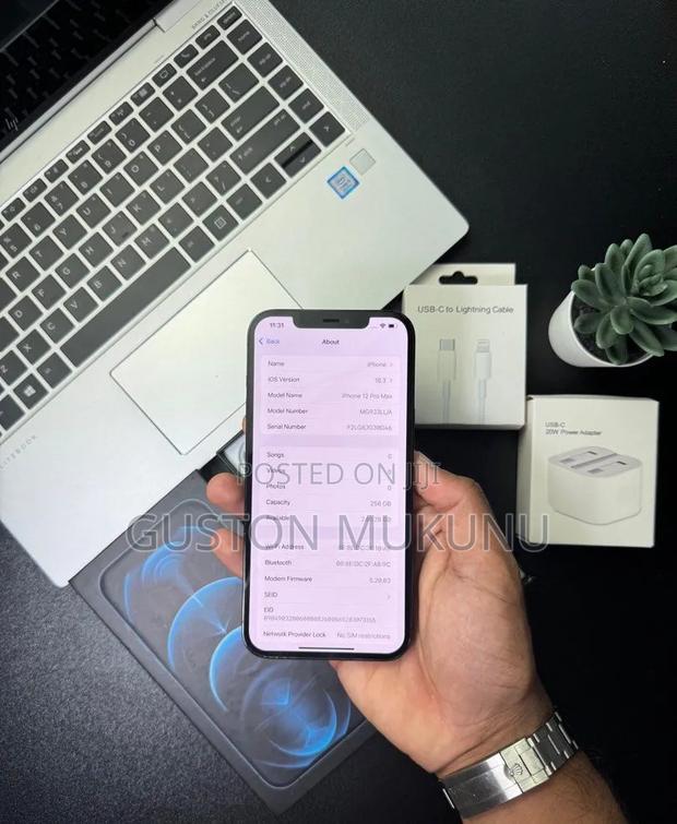 Apple iPhone 12 Pro Max 256 GB Blue - thumbnail 2