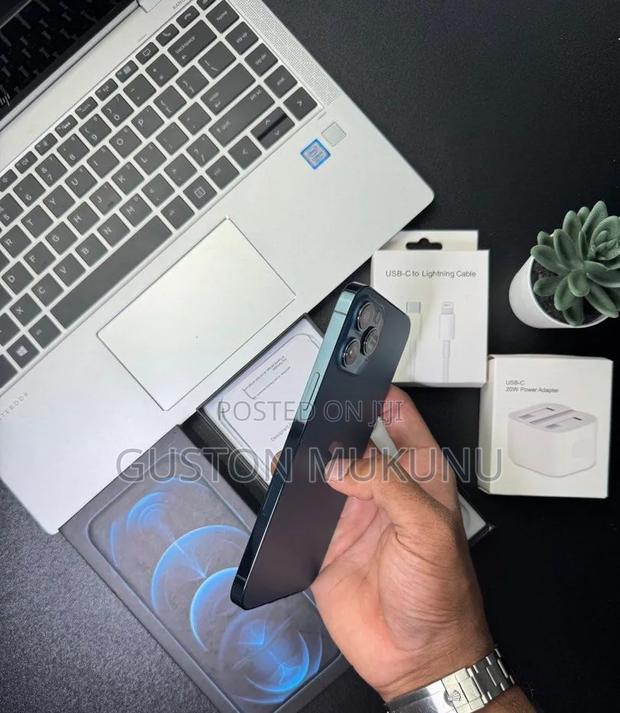 Apple iPhone 12 Pro Max 256 GB Blue - thumbnail 3
