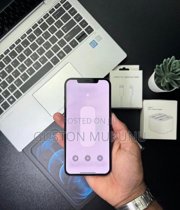 Apple iPhone 12 Pro Max 256 GB Blue - thumbnail 4