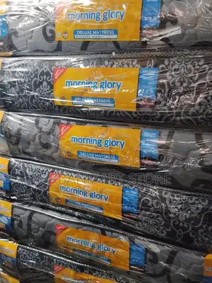 Morning Glory 4x6 Bedroom Mattress 8 Inch-Quilted