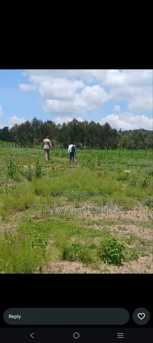 Kamangu, Kiriri Plots