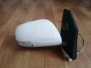 Axio 141 2007/2008 Side Mirror