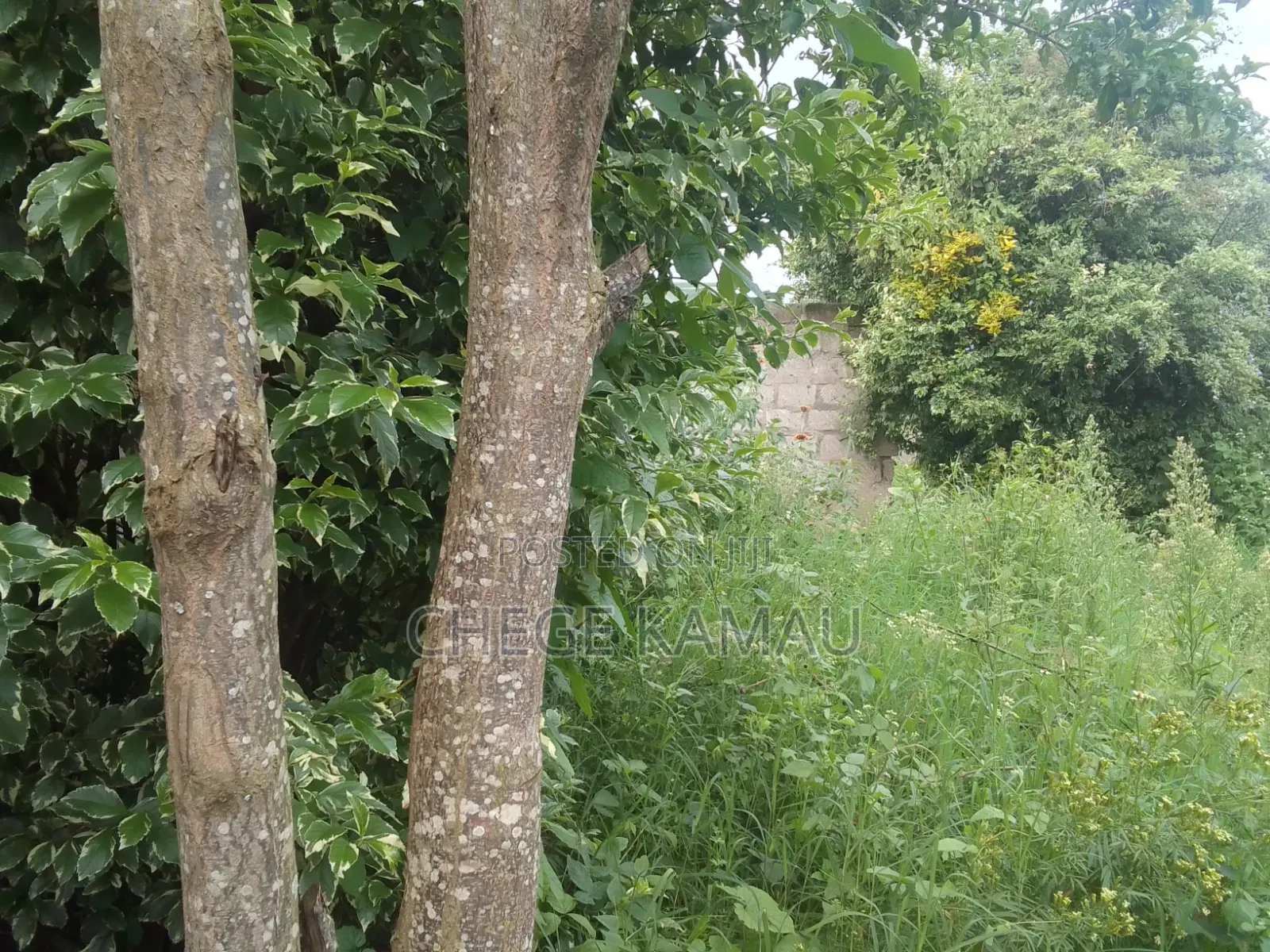 Land for Sale.