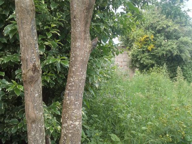 Land for Sale. - main view