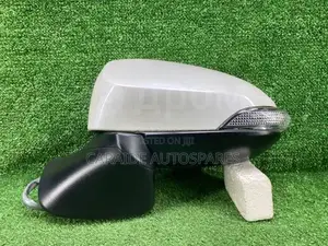 Axio 165 Side Mirror