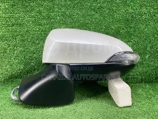 Axio 165 Side Mirror